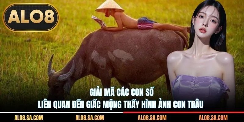 Giải mã các con số liên quan đến giấc mộng thấy hình ảnh con trâu