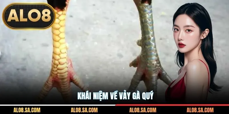 Khái niệm về vảy gà quý