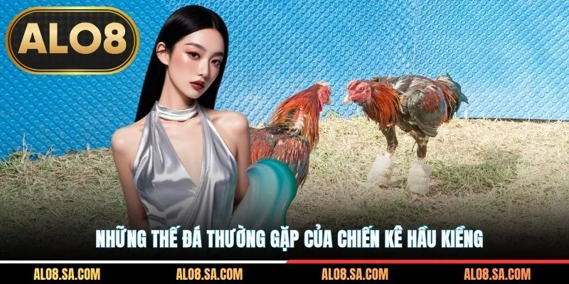 Những thế đá thường gặp của chiến kê hầu kiềng